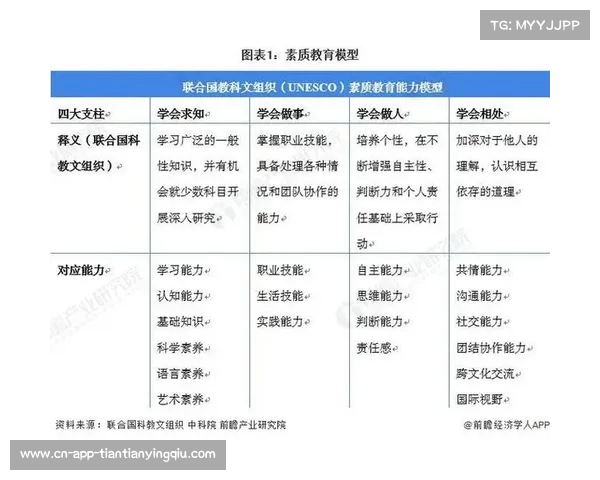 法甲裁判执法现状分析与未来发展趋势探讨